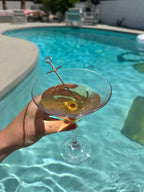 ANCHORED - Cocktail Picks - Set of 6