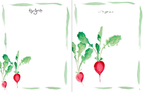 Menus: A Book for Your Meals and Memories : Jacques Pépin