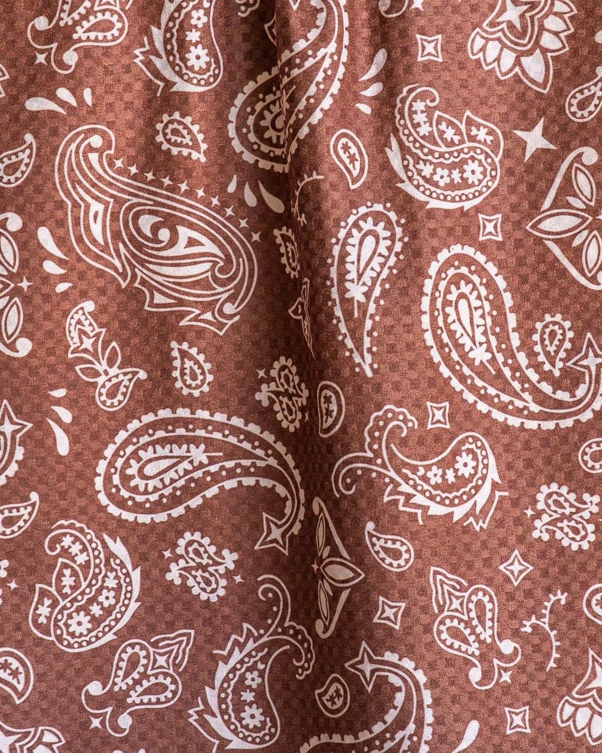 Rodeo Bandana Reversible