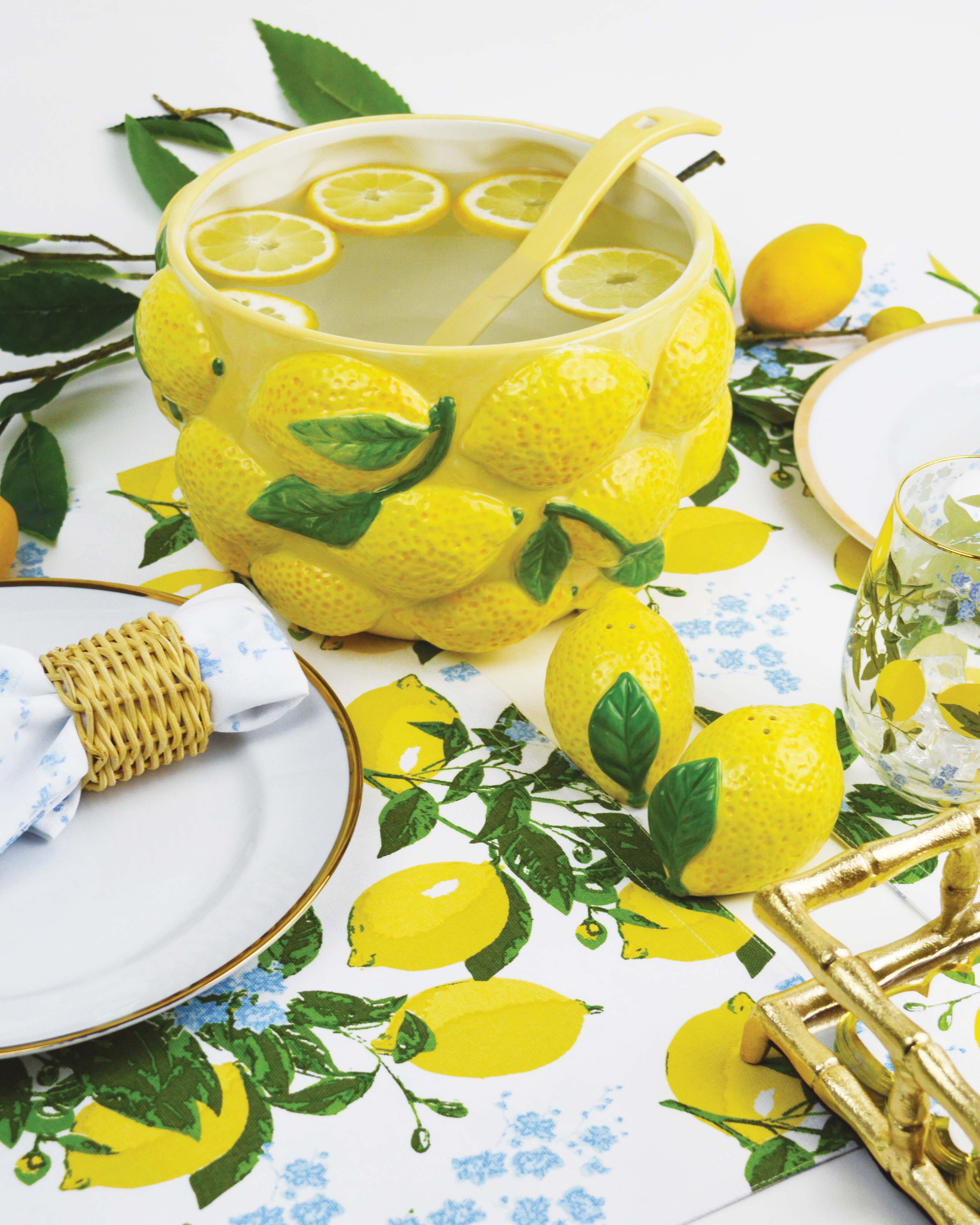 Lemon Salt & Pepper Shaker Boxed Set