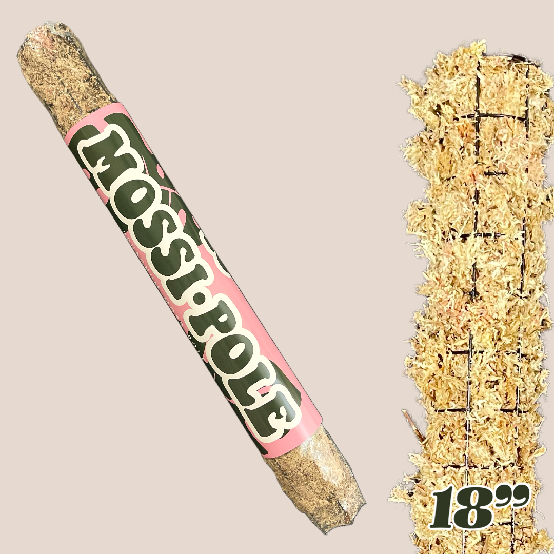 Mossi-Pole | Sphagnum Moss Pole
