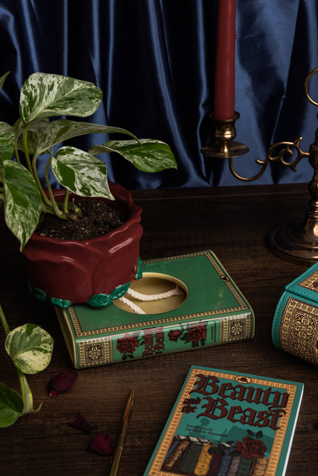Self Watering Planter, Beauty and the Beast