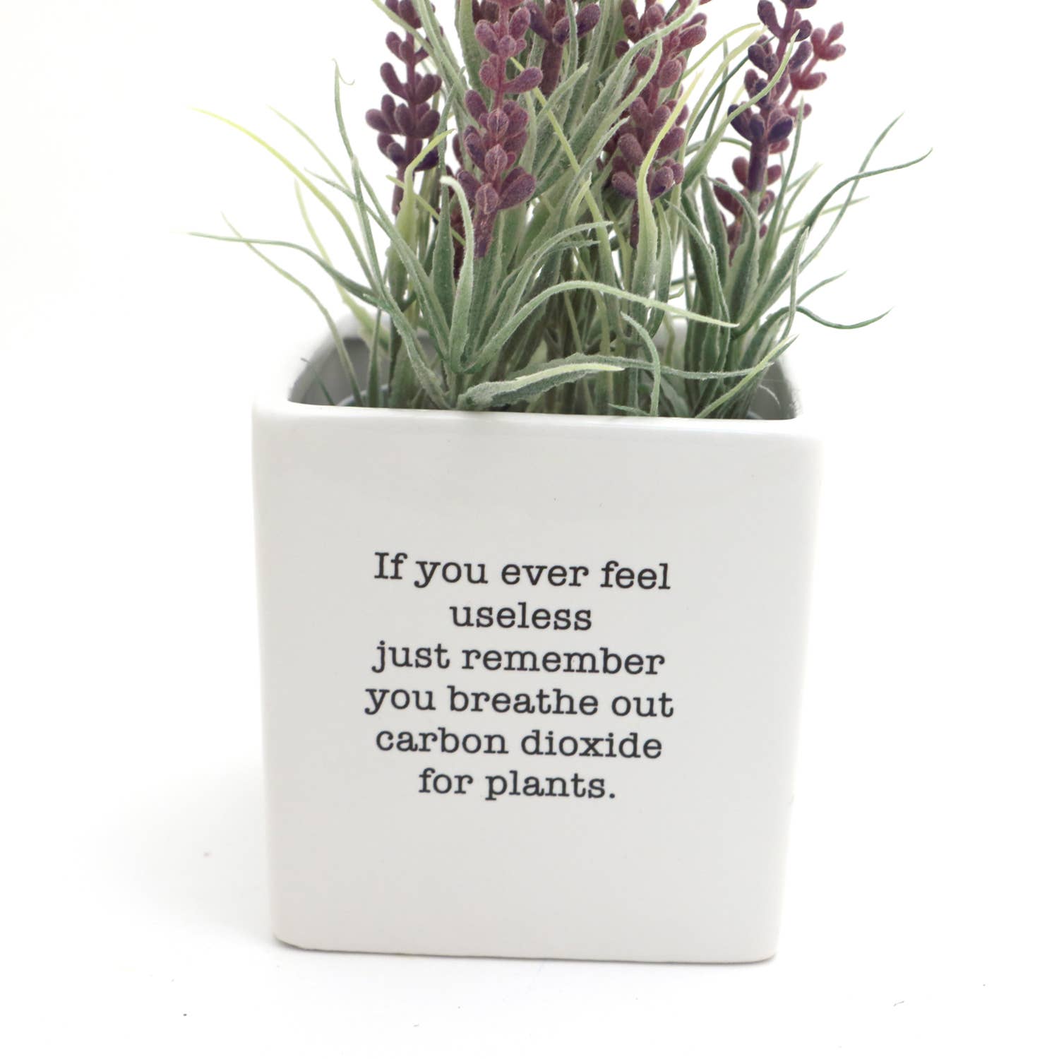 "You're So Freaking Useful" Planter