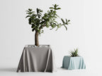 Silky Cloth Plant Pot