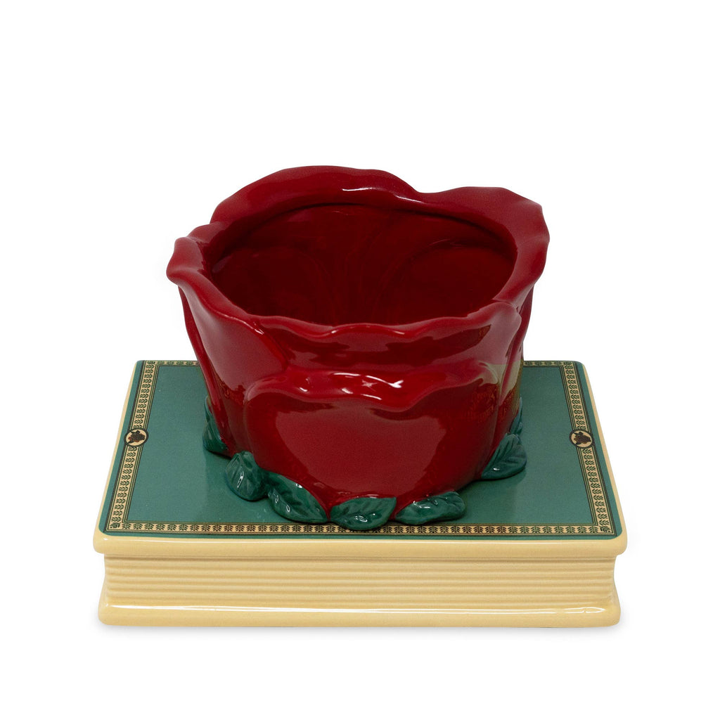 Self Watering Planter, Beauty and the Beast