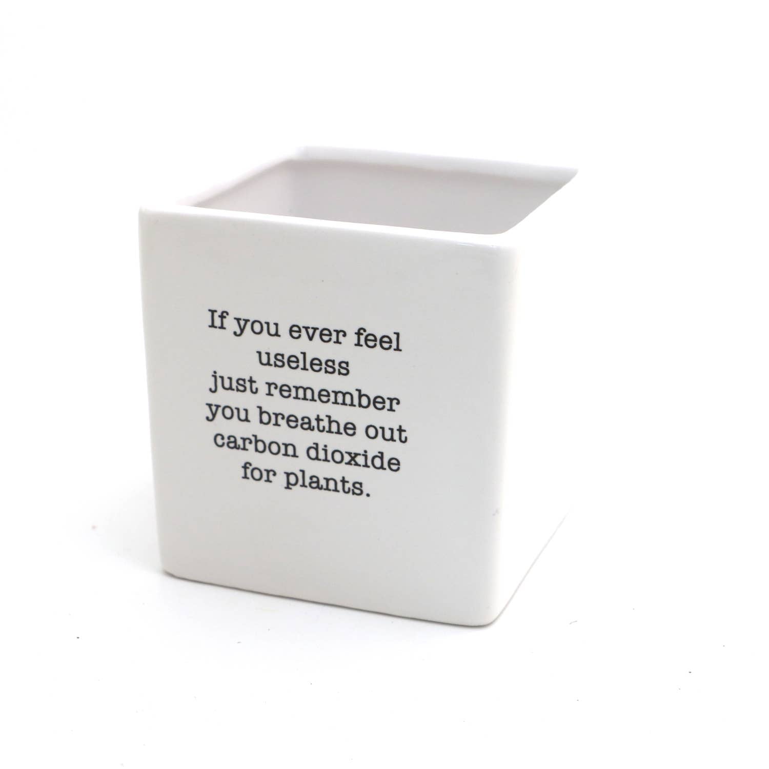 "You're So Freaking Useful" Planter