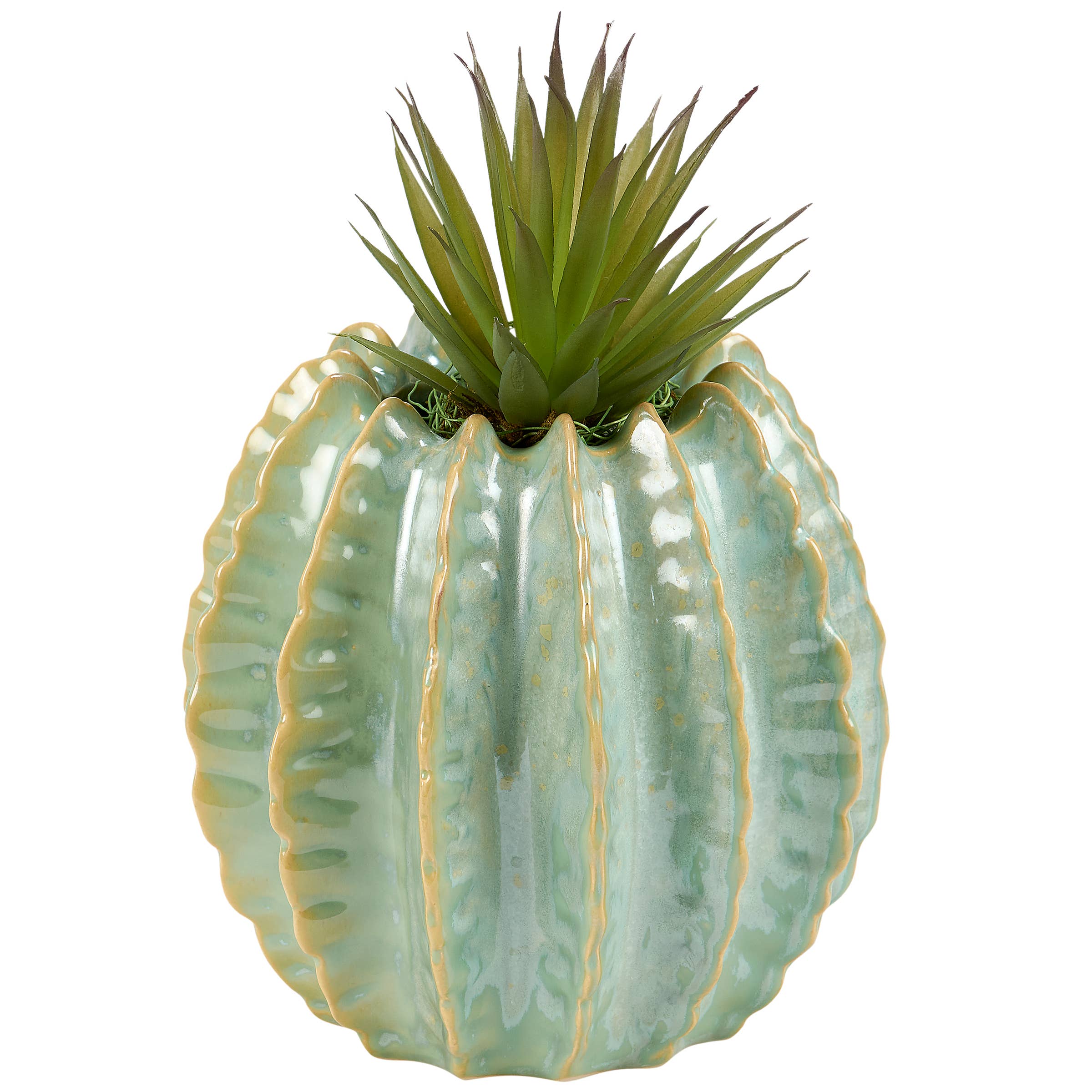 Barrel Cactus Planter