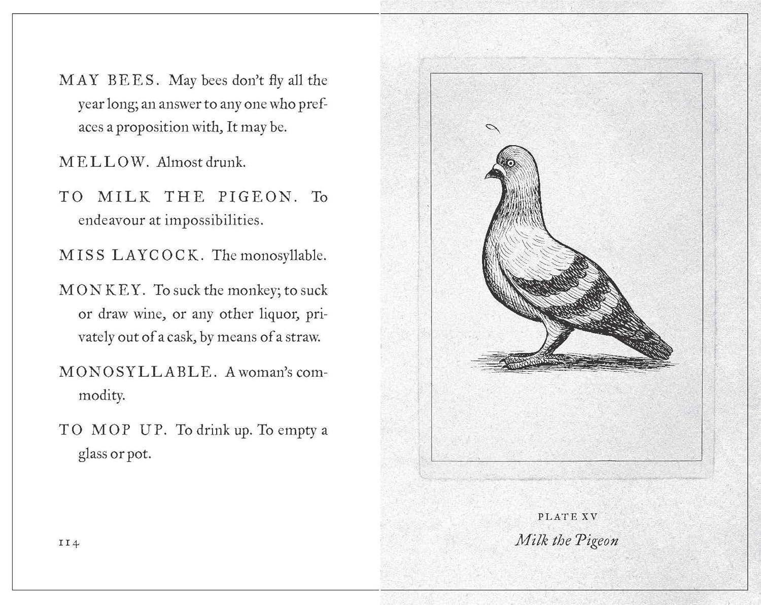 A Pocket Dictionary of the Vulgar Tongue
