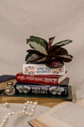 Stacked Books Planter, Jane Austen