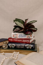 Stacked Books Planter, Jane Austen