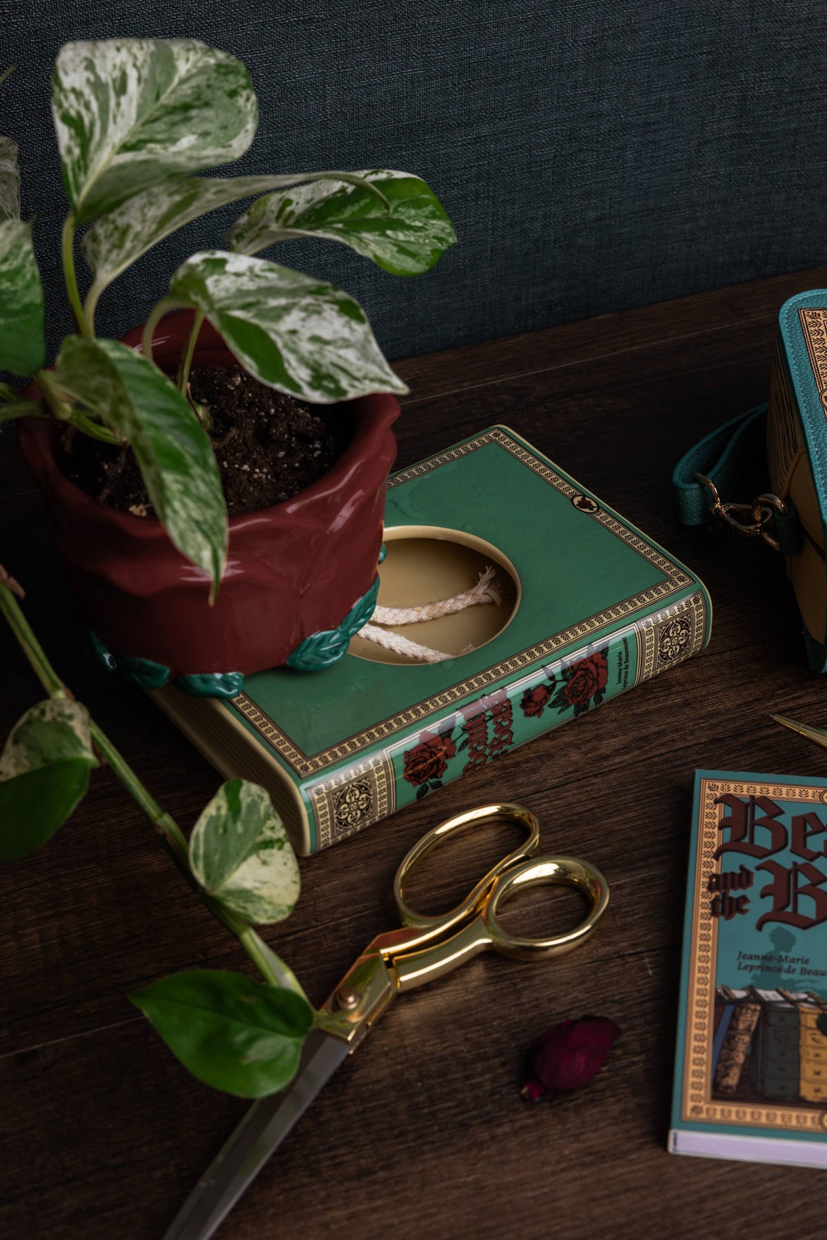 Self Watering Planter, Beauty and the Beast