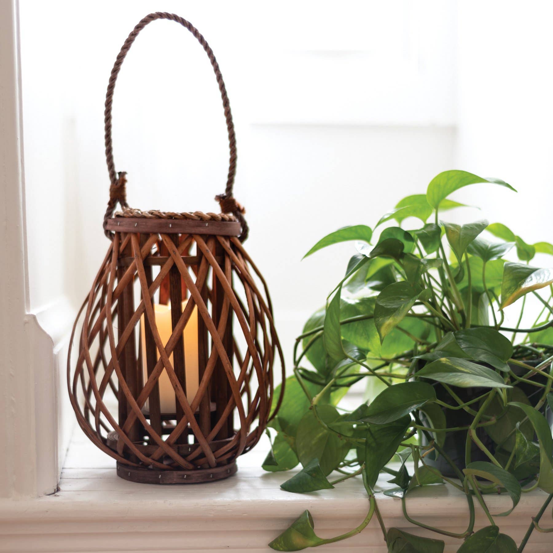 Willow Lantern