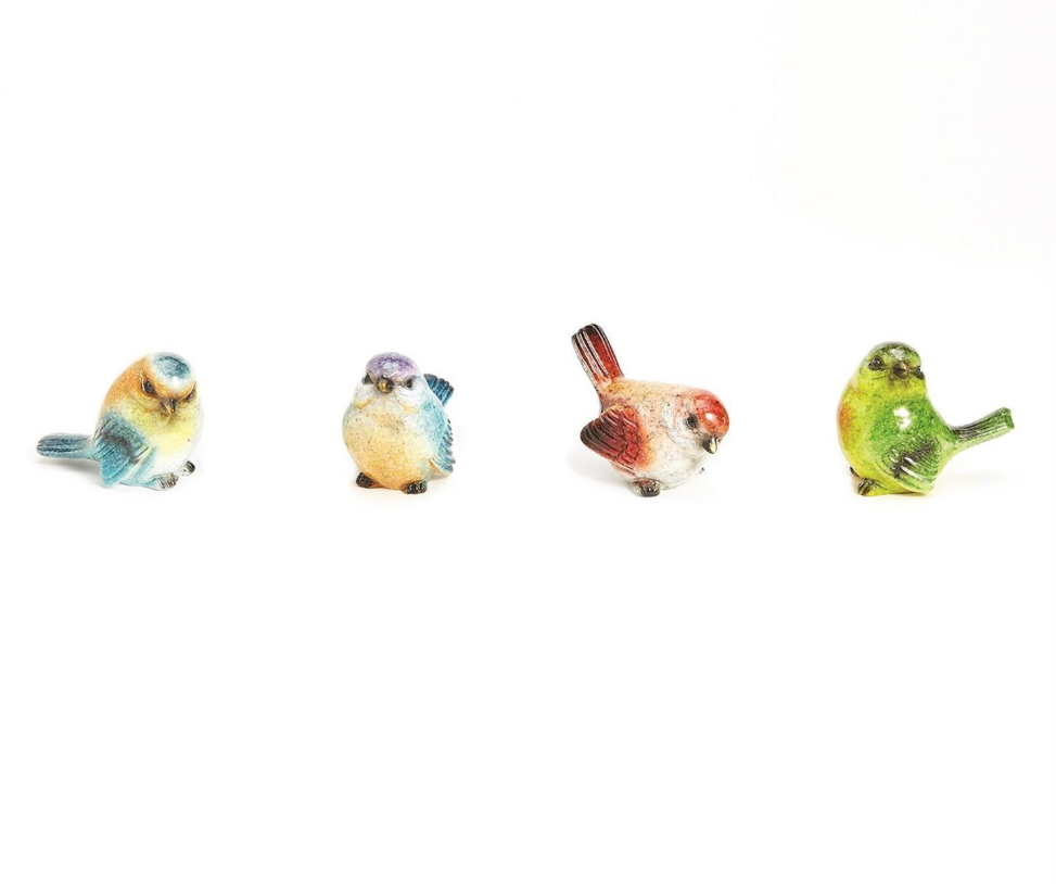 Bird Spirit Animal