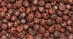 A dense pile of small round brown bells with cutout tops, filling the frame against a white background at the edges.