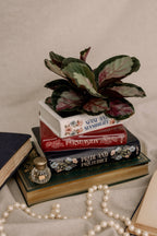 Stacked Books Planter, Jane Austen