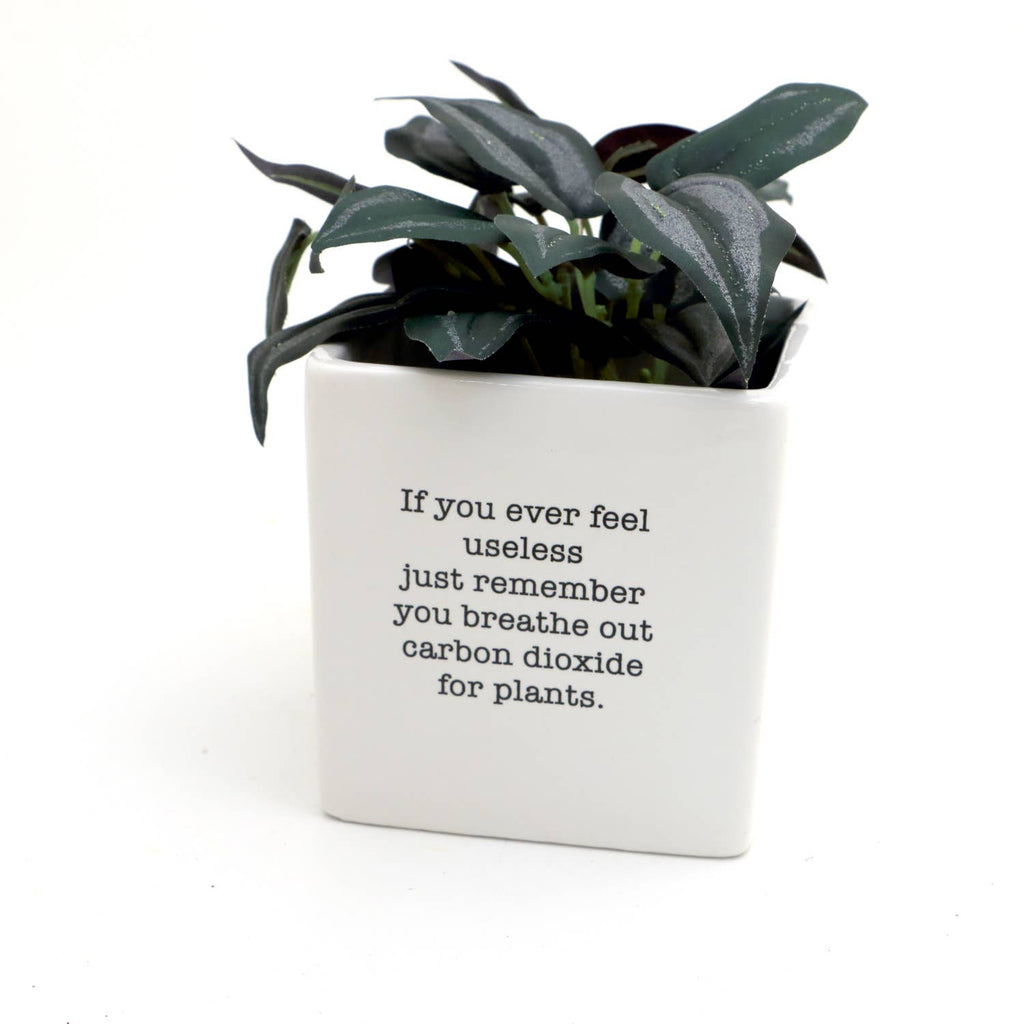 "You're So Freaking Useful" Planter