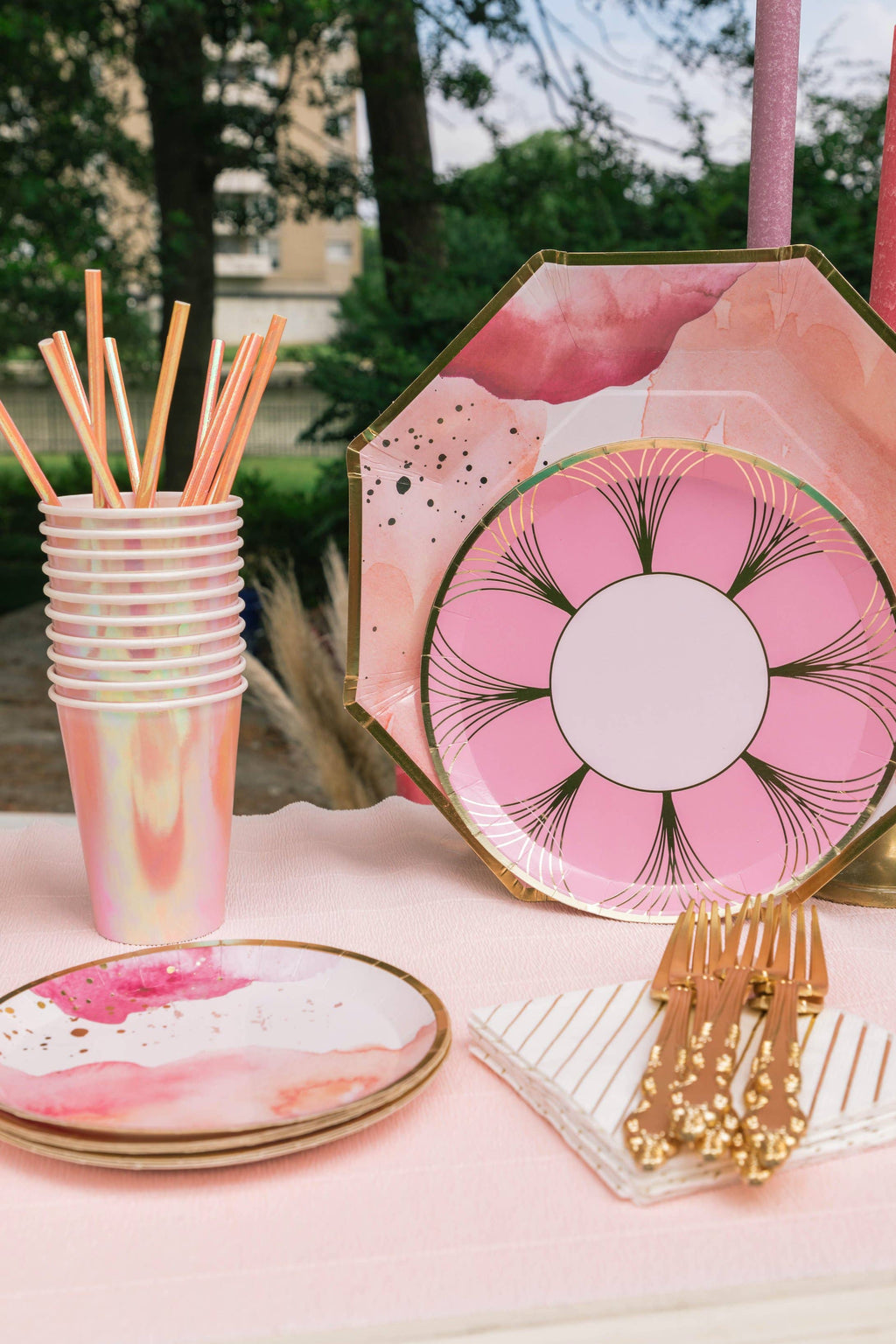 The Gatz Pink Dinner Plates