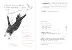 Dumb Birds Field Guide to the Worst Birds Ever