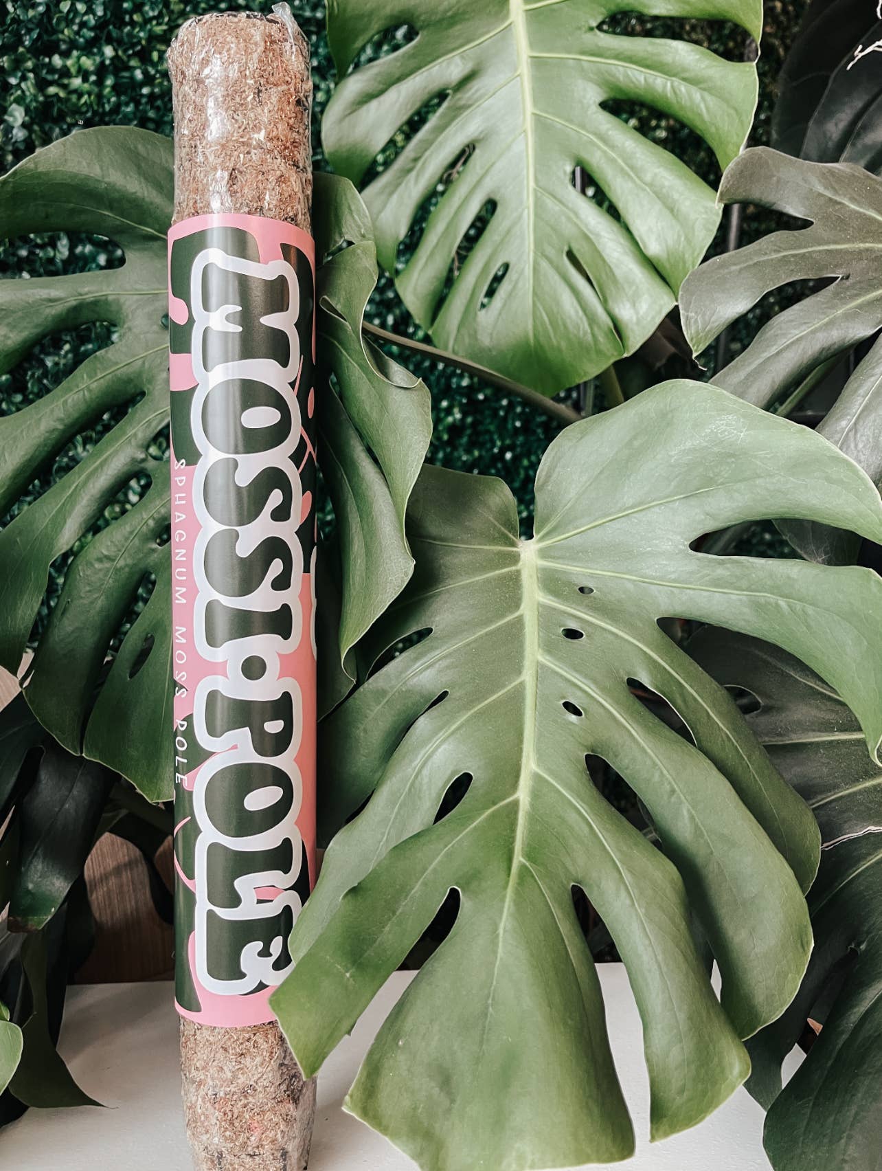 Mossi-Pole | Sphagnum Moss Pole