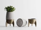 Rocket Plant Pot - Gold