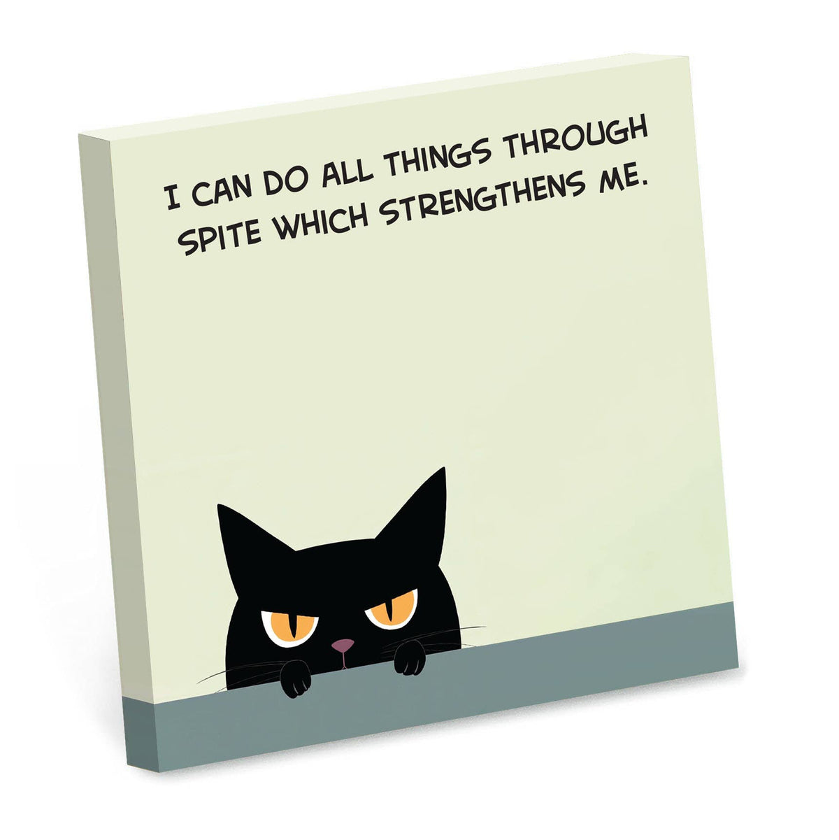 I Can Do All Things Through Spite Sticky Note Pad
