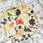 Floral Harmony ~ 16 Piece Setting