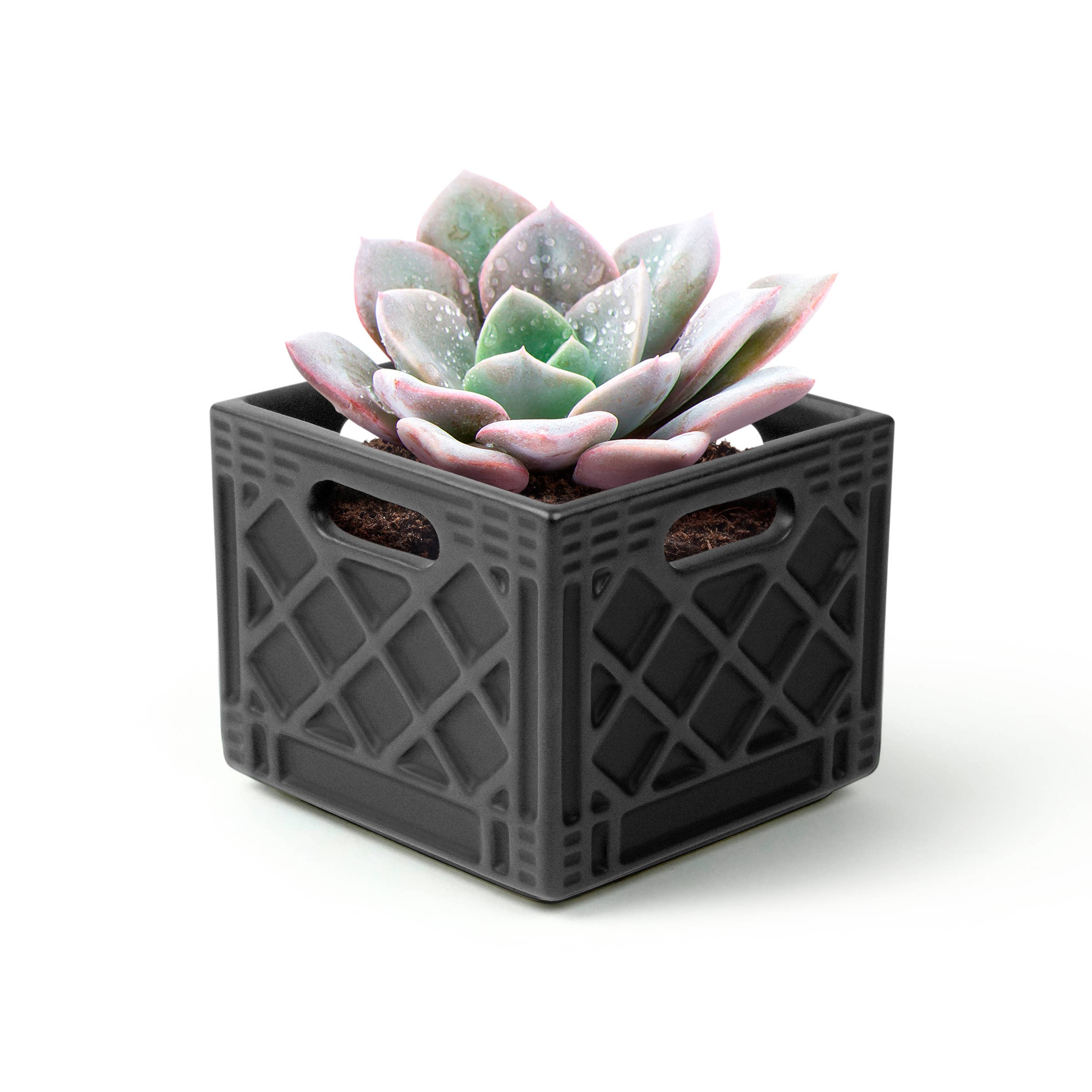 Milk Crate Planter