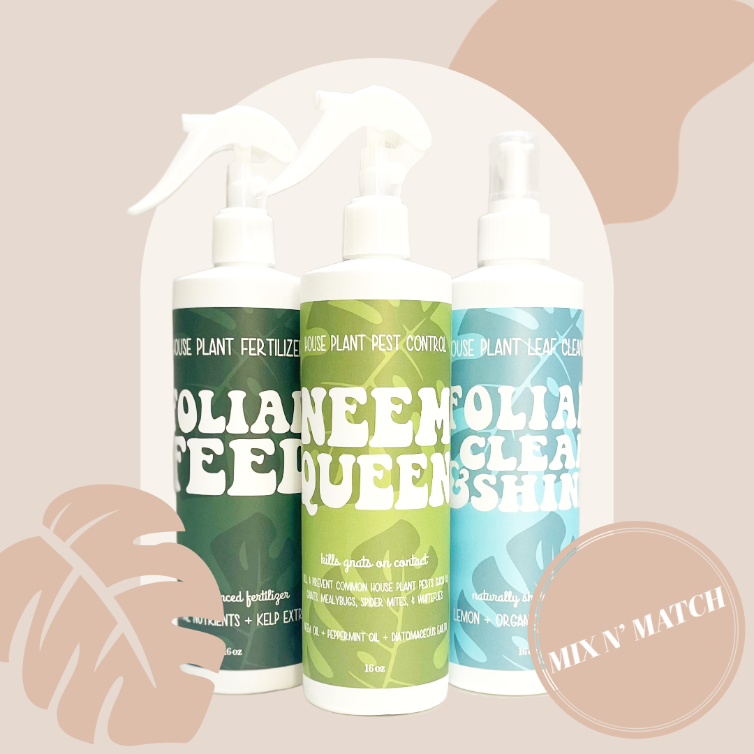 Foliar Clean and Shine